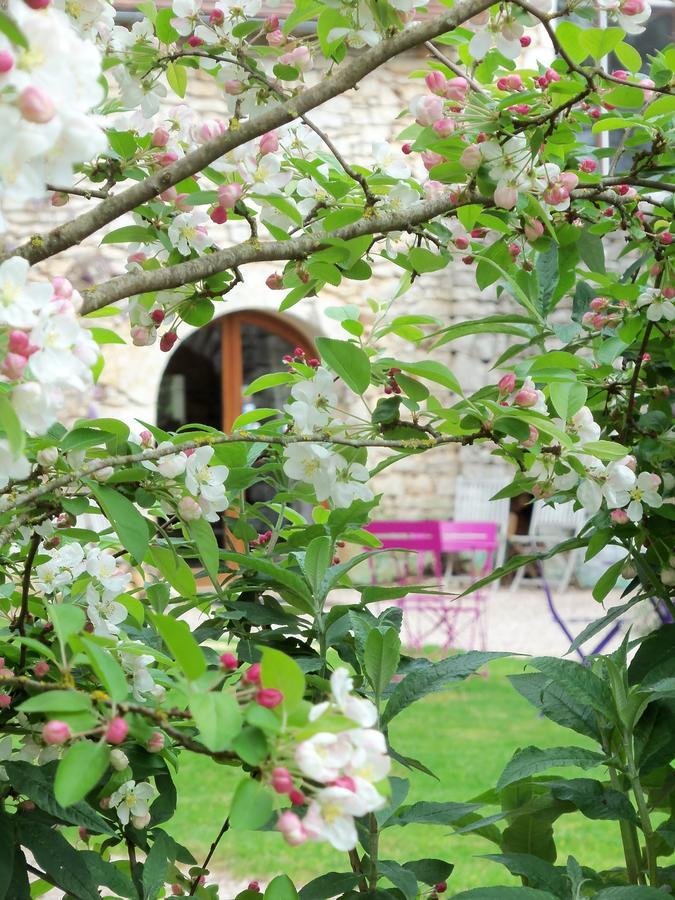 Espédaillac Chambres Et Jardin De Pierres المظهر الخارجي الصورة